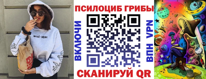 где найти   omg ссылка  Псилоцибиновые грибы Magic Shrooms  Каневская 
